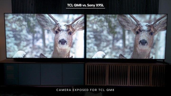 Side-by-side comparison of a scene of a deer in snow on a Sony Bravia X95L vs TCL QM8.