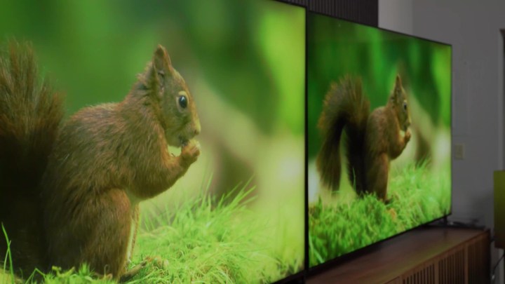 A side-by-side comparison of a scene of a squirrel in a forrest viewed at an extreme-off angle on the Sony Bravia X95L vs TCL QM8.