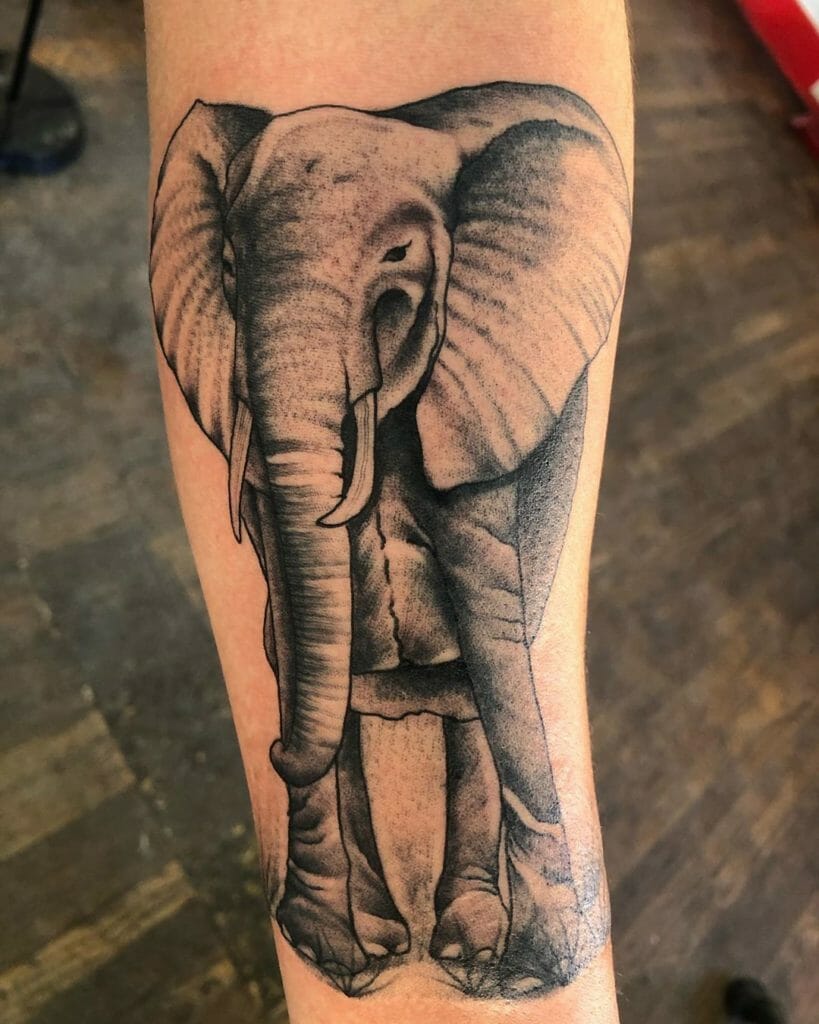 elephant tattoo