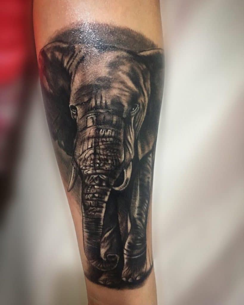 elephant tattoo