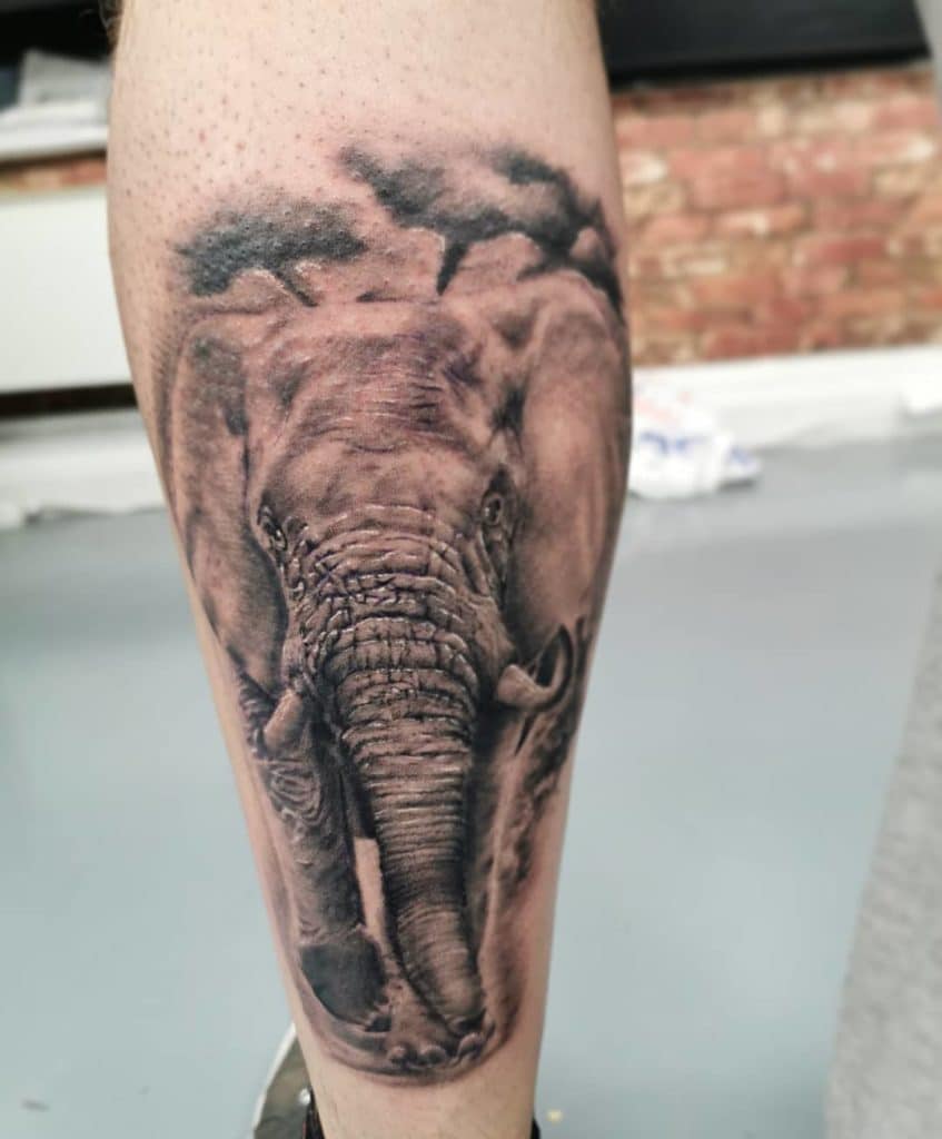 elephant tattoo