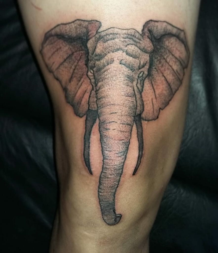 elephant tattoo