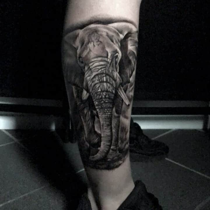 elephant tattoo