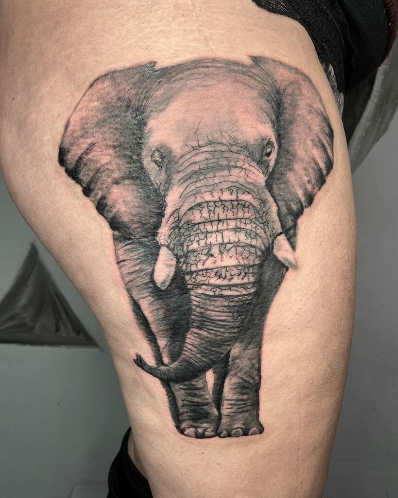 elephant tattoo