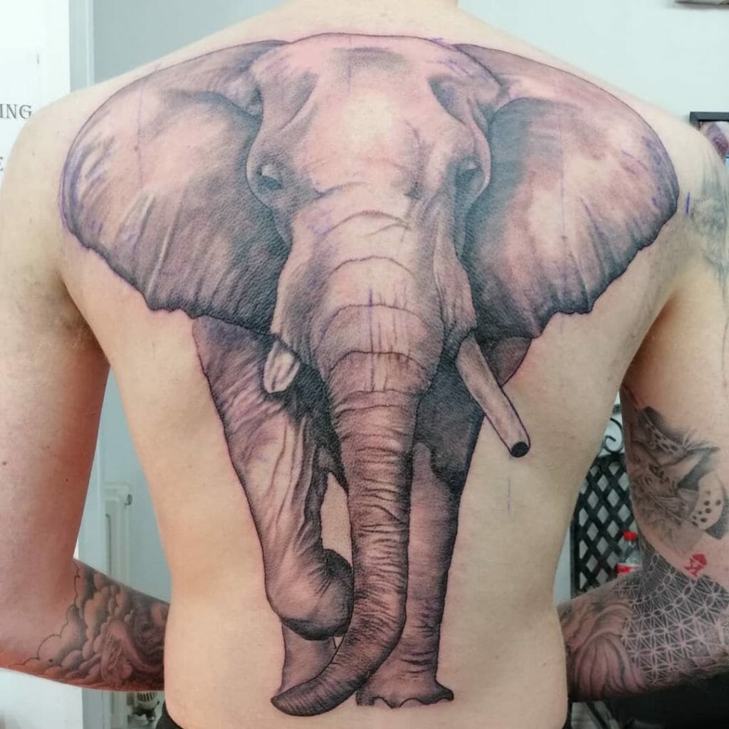 elephant tattoo