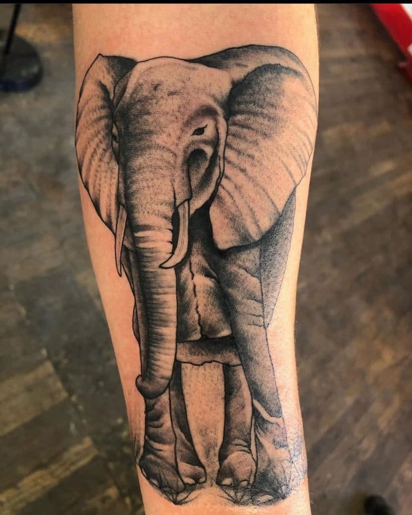 elephant tattoo