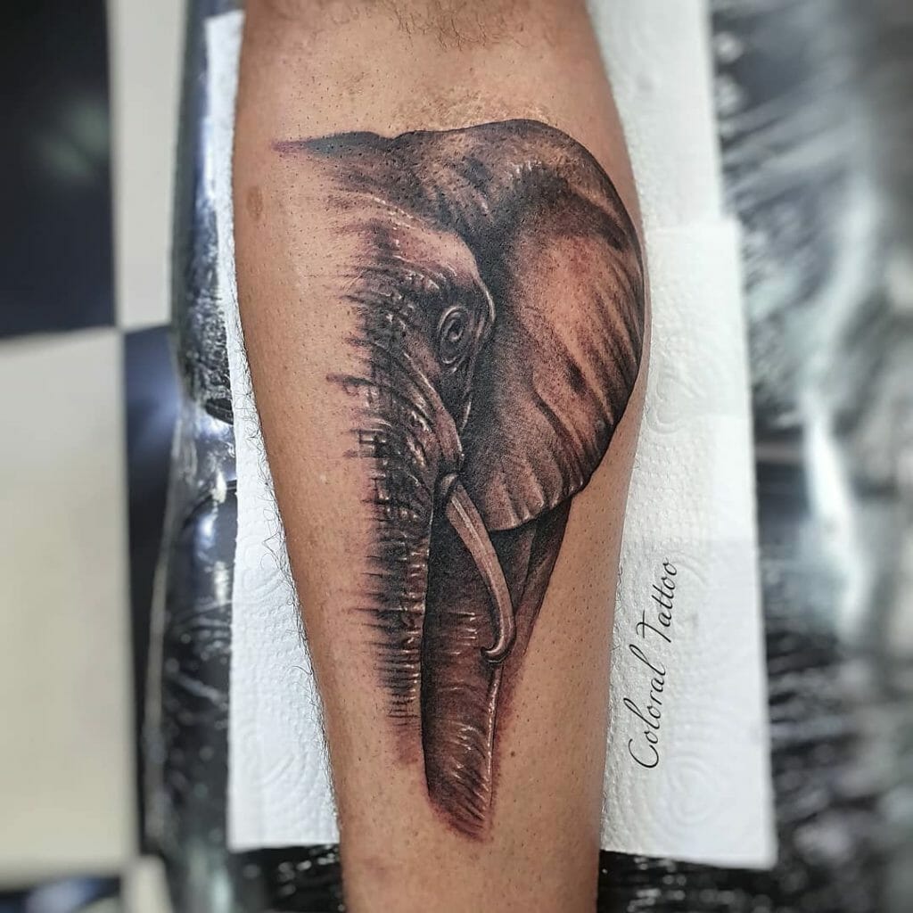 elephant tattoo