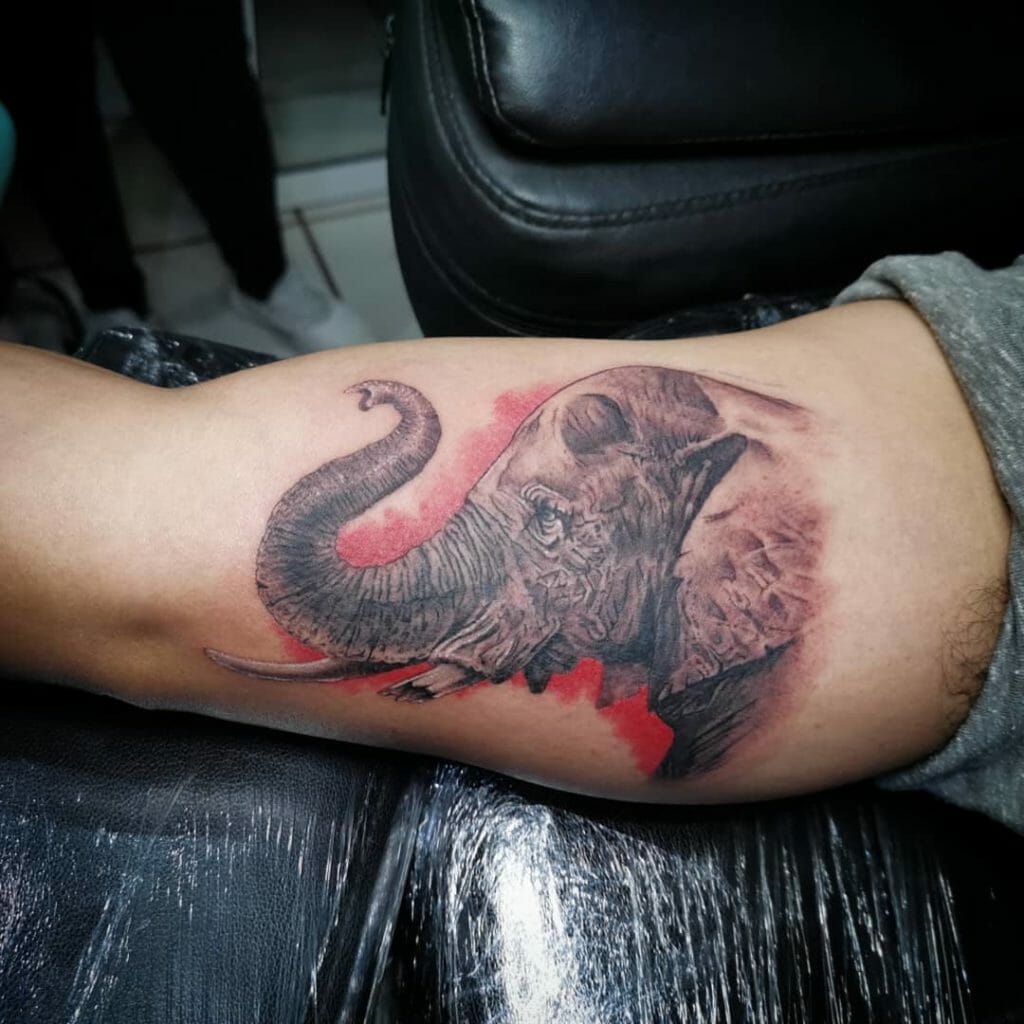 elephant tattoo