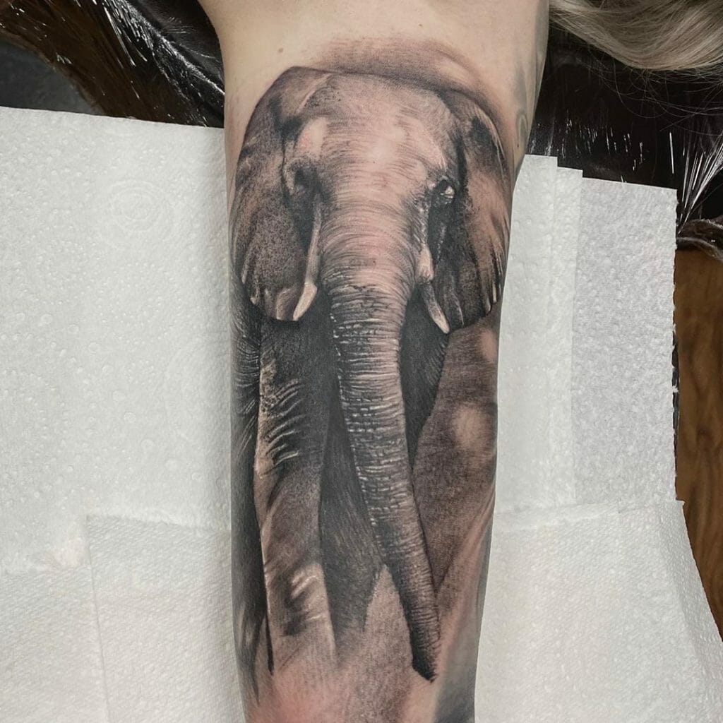 elephant tattoo