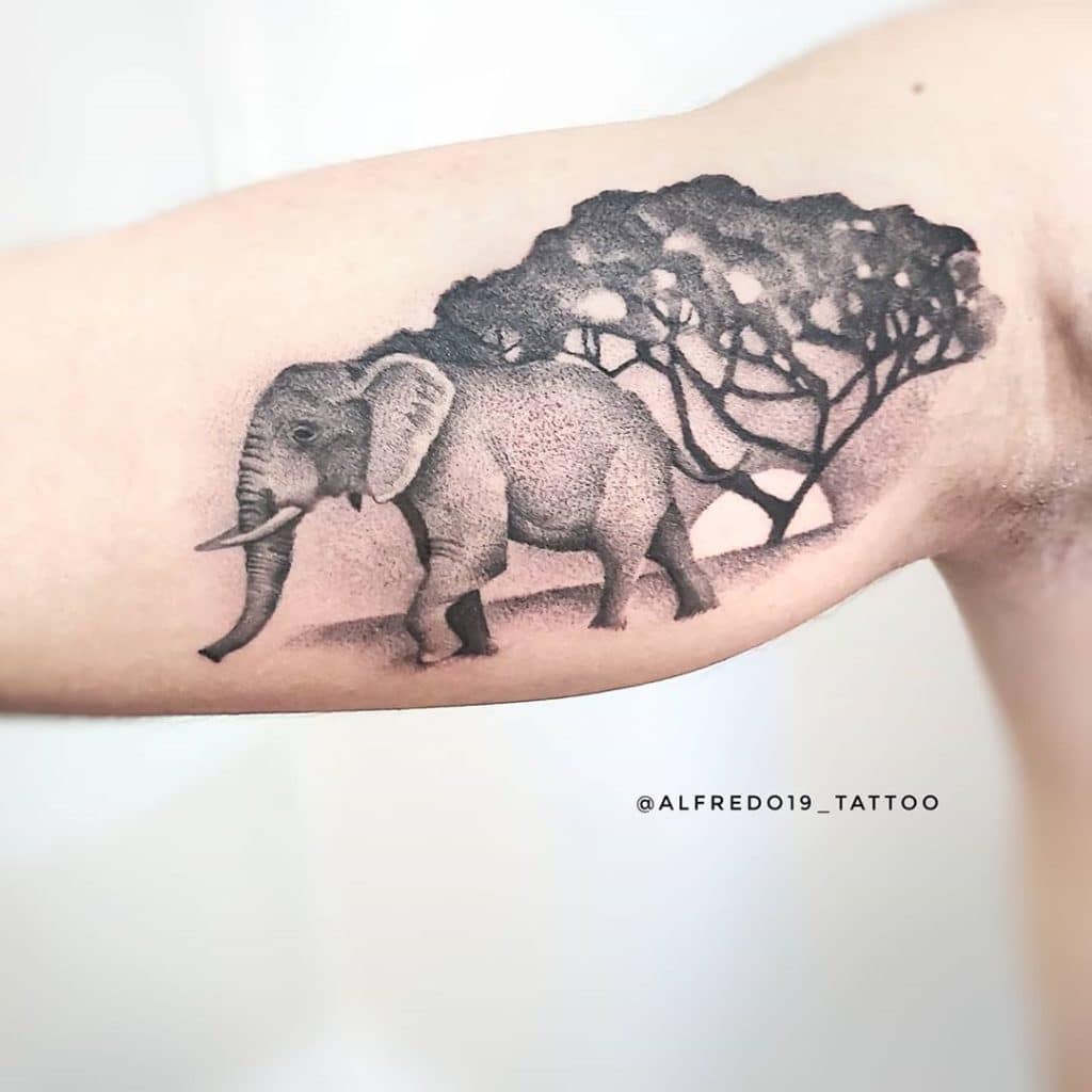 elephant tattoo