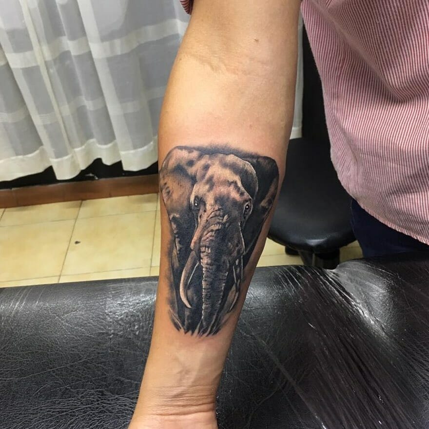 elephant tattoo