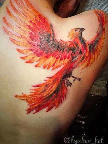 Phoenix Tattoo