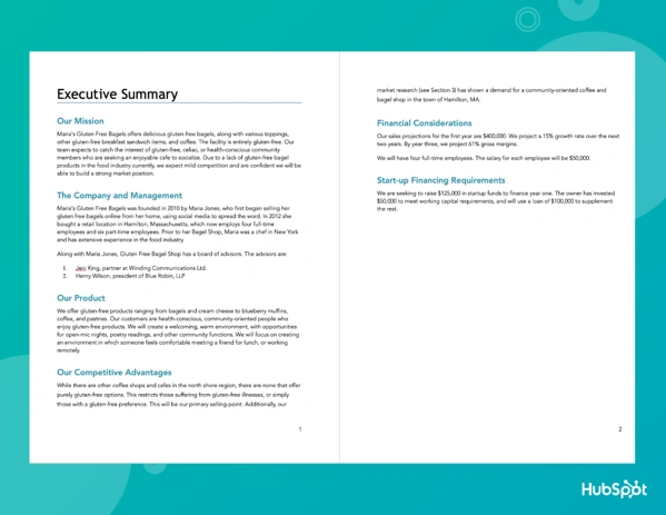 business plan sample: Executive Summary Example