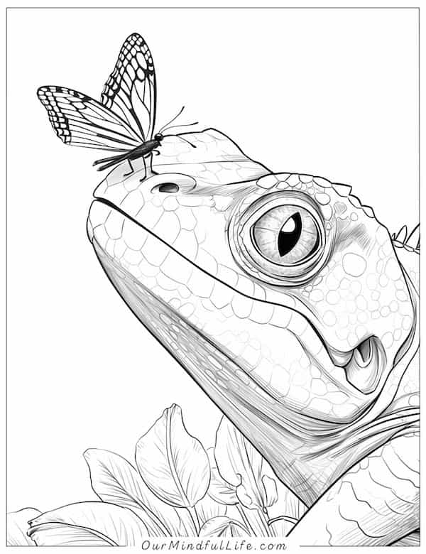 Lizard and butterfly coloring page