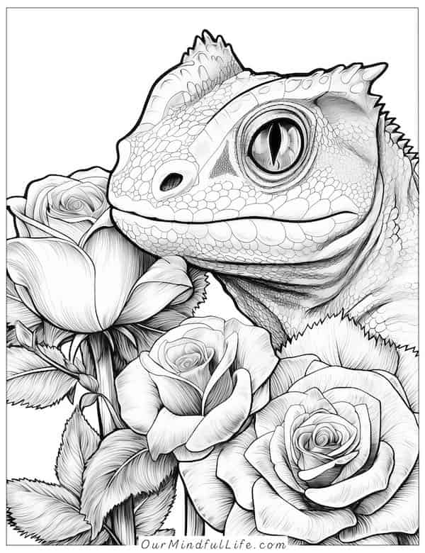 Lizard and roses coloring page