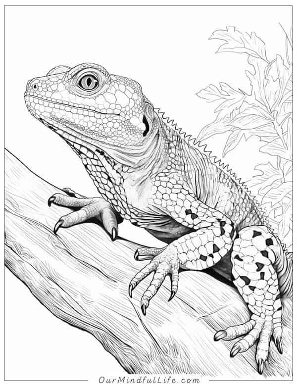 Realistic lizard in nature coloring page