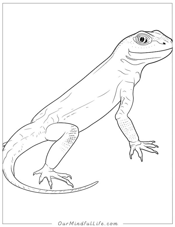 Simple gecko coloring page