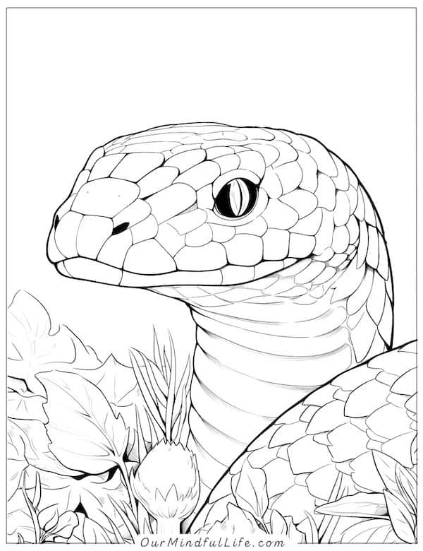 Simple snake coloring page