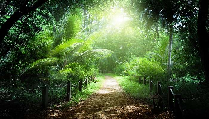 Nature Walk - Fantastic things to do in Lansdowne