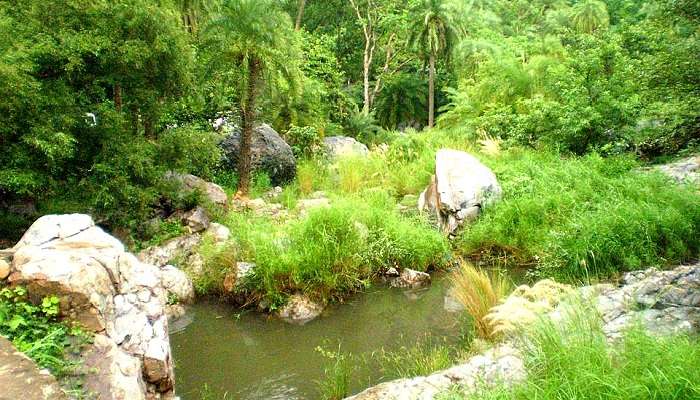 Sariska Tiger Reserve View