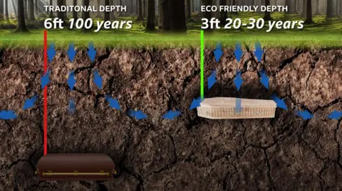 An illustrated graphic showing a wooden coffin buried in soil at a depth of 6ft with the caption "100 years", and another wicker coffin buried at a depth of 3ft with the caption "20-30 years". There are blue arrows demonstrating oxygen flow in the top three layers of soil.