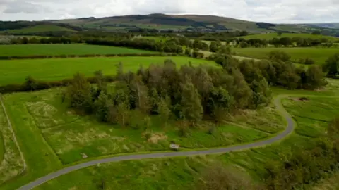 An aerial picture of green fields. In the closest field there is a small group of trees with a winding tarmac path in front of it.