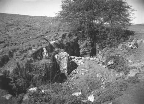 Antony Audsley The bones were found by cavers in the 1970s in Somerset