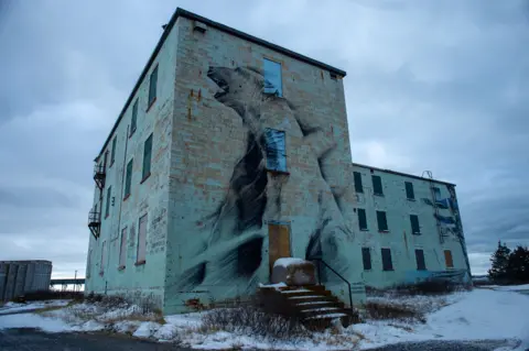 Victoria Gill/BBC A giant mural of a polar bear on a building in Churchill, Manitoba