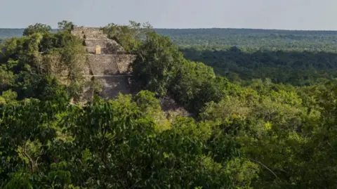 Getty Images A photograph of the Calakmul Mayan temple pyramid ruins in Campeche, Mexico