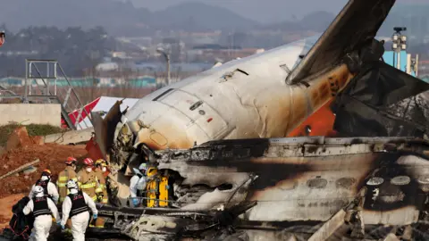 EPA Firefighters, some in brown outfits and some in white and black, search at the wreckage of the Jeju Air aircraft. Their backs at to the camera. The wreckage is barely identifiable as a plane apart from the tail