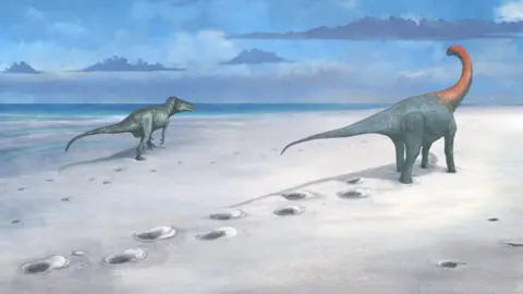 Mark Witton An artist's impression, a drawn illustration, shows two dinosaurs walking a few metres alongside each other on a white sandy beach. The larger one is bluish grey mostly and walks on four legs. It  has a long tail and long neck which is red along with its head. The smaller dinosaur, the carnivore, off to the left nearer the dark blue sea, is greenish white and walks on two feet.