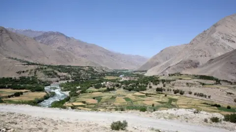 पृष्ठभूमि में शुष्क पहाड़ों और अग्रभूमि में उपजाऊ घाटी के साथ अफगानिस्तान में संगिन घाटी की एक फ़ाइल तस्वीर