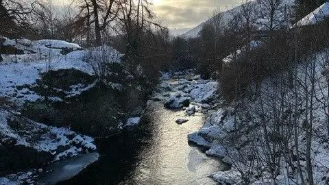 बर्फ से ढके किनारों और पेड़ों के बीच से एक बर्फीली धारा बहती है