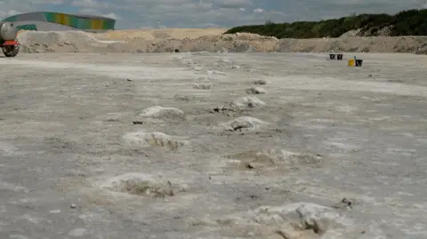 BBC/Kevin Church A single track of large dinosaur footprints - like big craters in the ground trail off into the distance in a quarry of whitish-grey sandy rock, clearly showing that a large dinosaur has walked that way. In the distance stand three black and one yellow bucket, suggesting people have been working on the side. A raised bluff of dark green vegetation borders the quarry on one side off in the distance to the right.